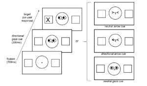 Posner cue paradigm